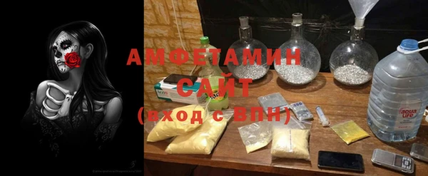 молекула духа Арсеньев